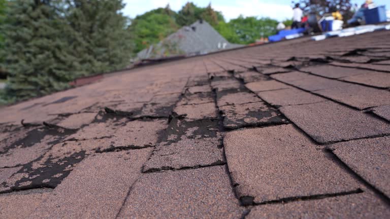 Steel Roofing in Oak Park, MI